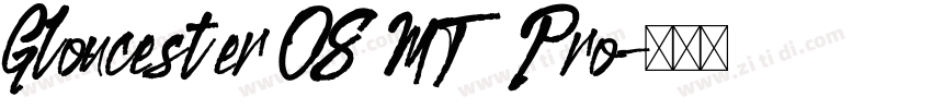 Gloucester OS MT Pro字体转换